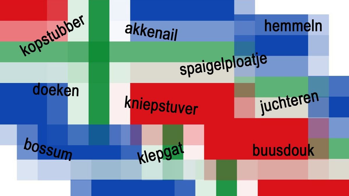 Wat vind jij het Schierste Grunneger woord van 2023? Laatste kans om te
