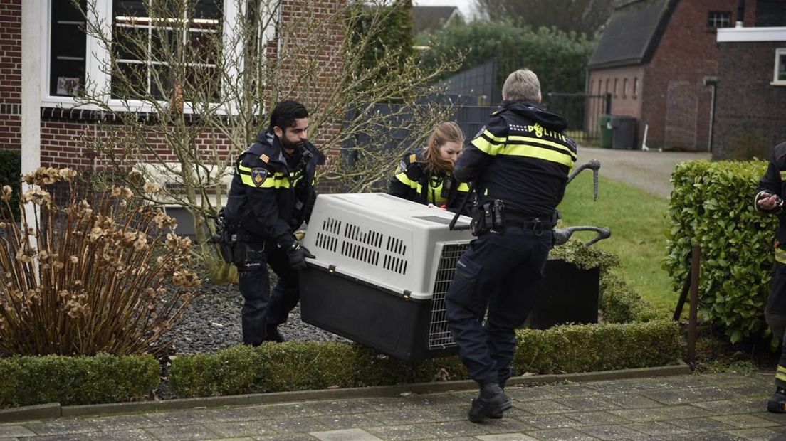 Een hond kon op tijd uit het huis worden gehaald