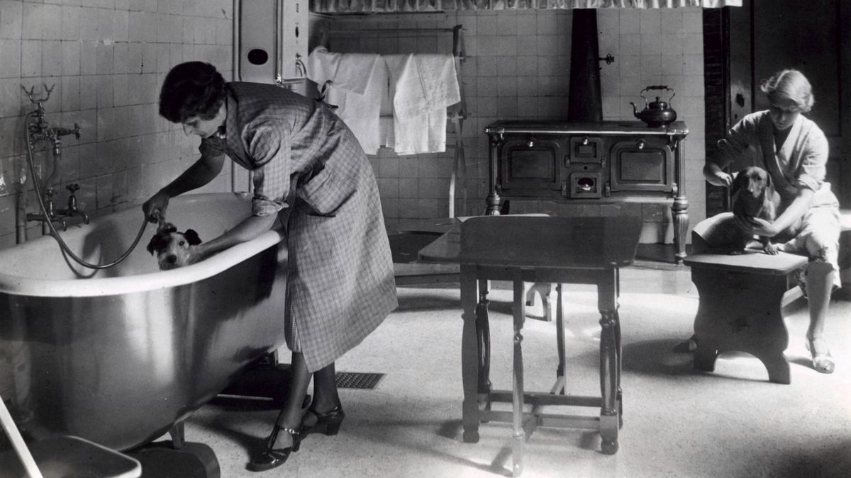 Adellijk initiatief werd moderne dierenopvang: stichting bestaat 100 jaar