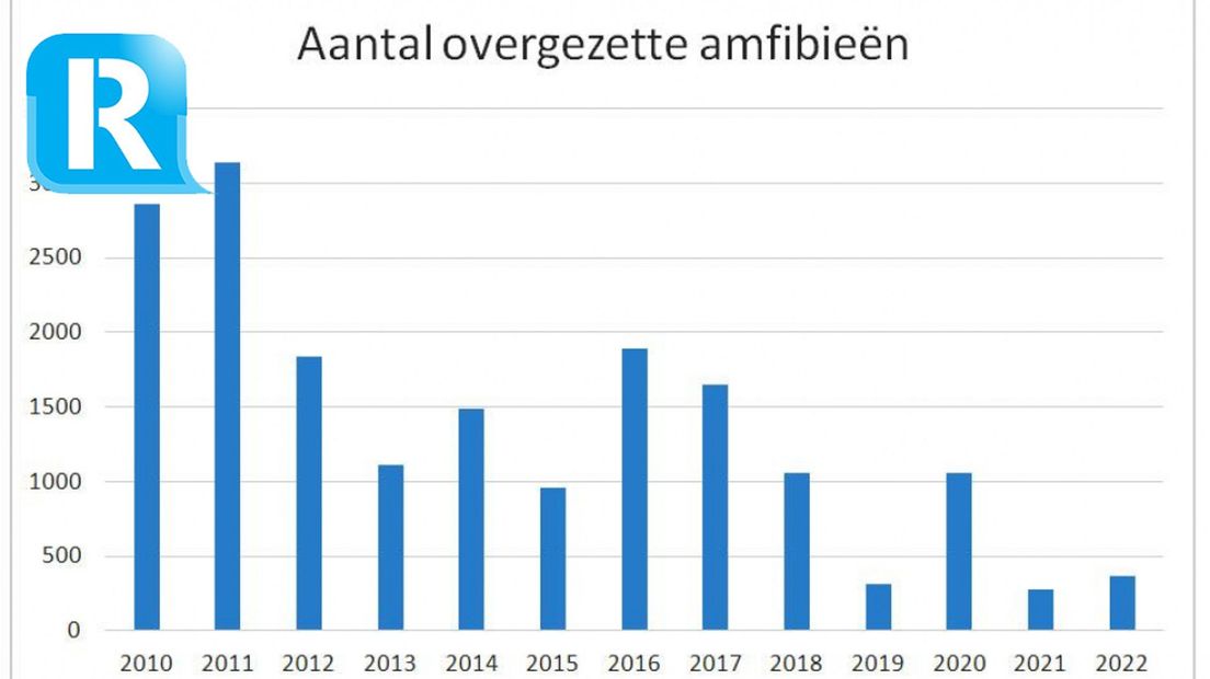 Amfibieën