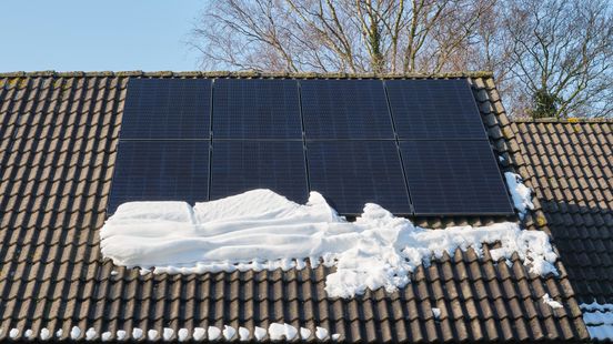 Almelose wietkweker loopt tegen de lamp omdat er geen sneeuw op zijn dak ligt Nieuws