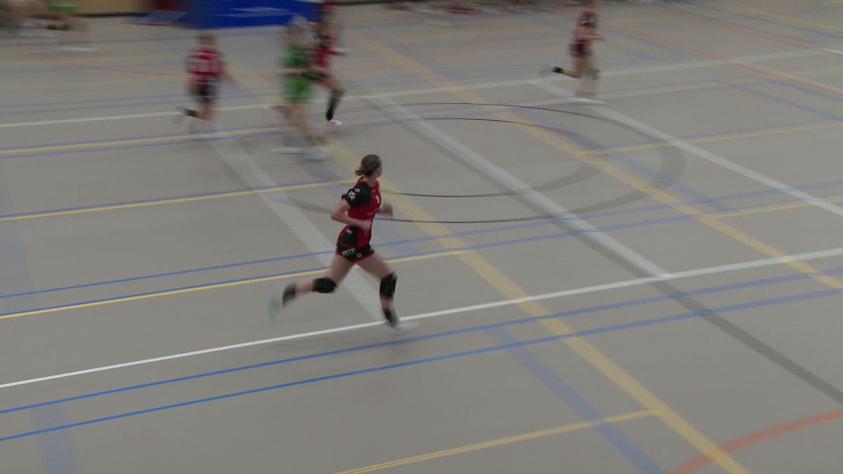 Samenvatting Kwiek - Quintus