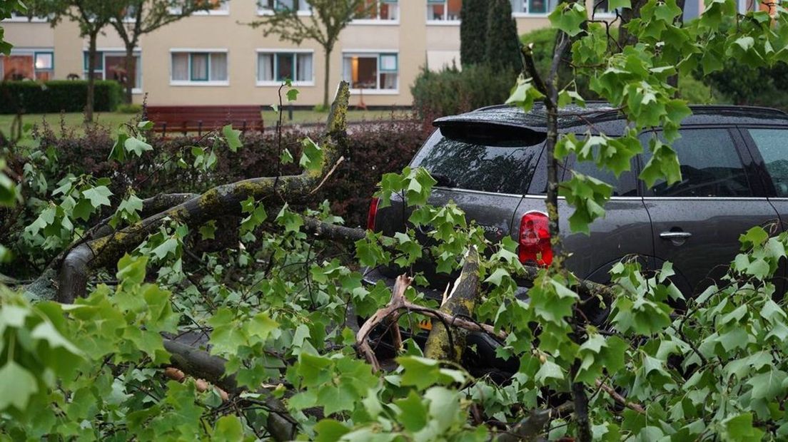 Deze auto in Dieren werd bijna bedolven onder een grote tak die afbrak