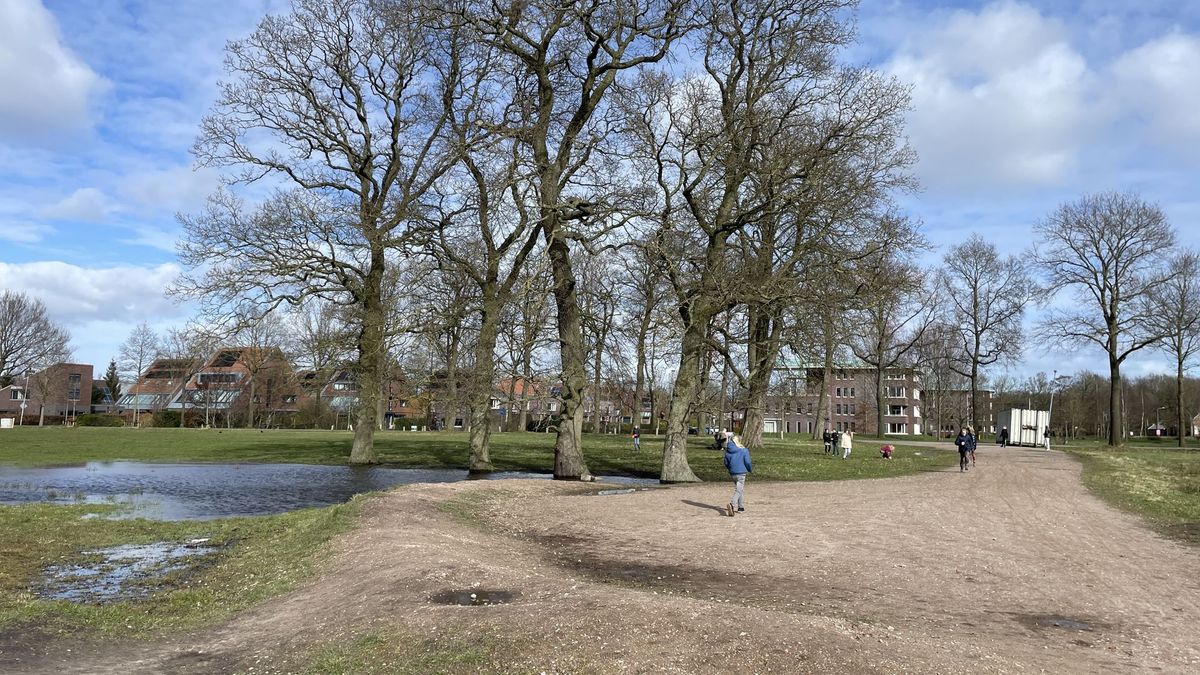 Na jarenlange strijd wordt begonnen met bouw supermarkt Ter Borch