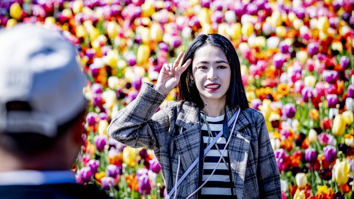 Vrouw gaat drie keer per week naar Keukenhof: 'Hier is het genieten'