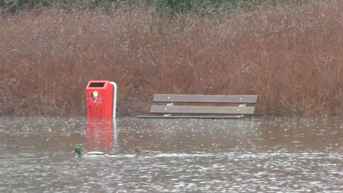 Wakker Emmen bezorgd over stinkvijver in Emmerhout