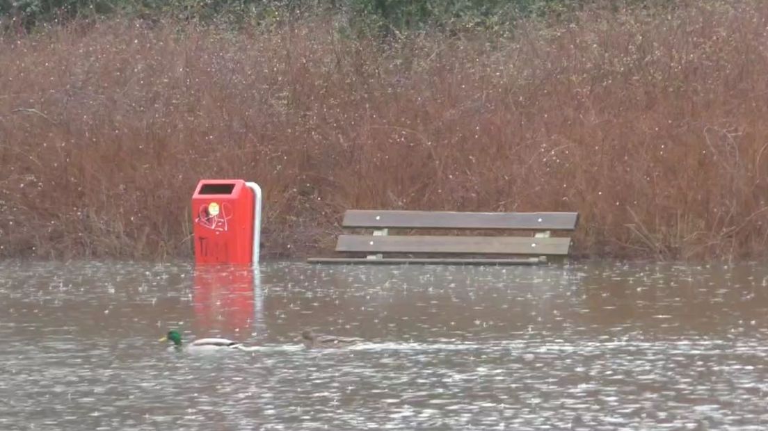 Vijver Laan van de Eekharst in Emmen