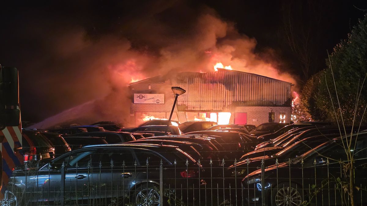 Brand bij garagebedrijf in Rhenen: geen gewonden, maar pand en auto's verwoest