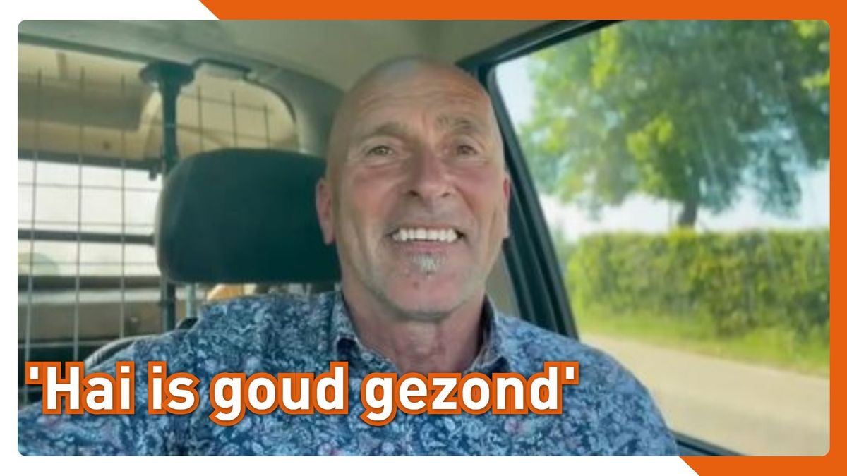 De bejaarde schildpad uit Saaksum is terug