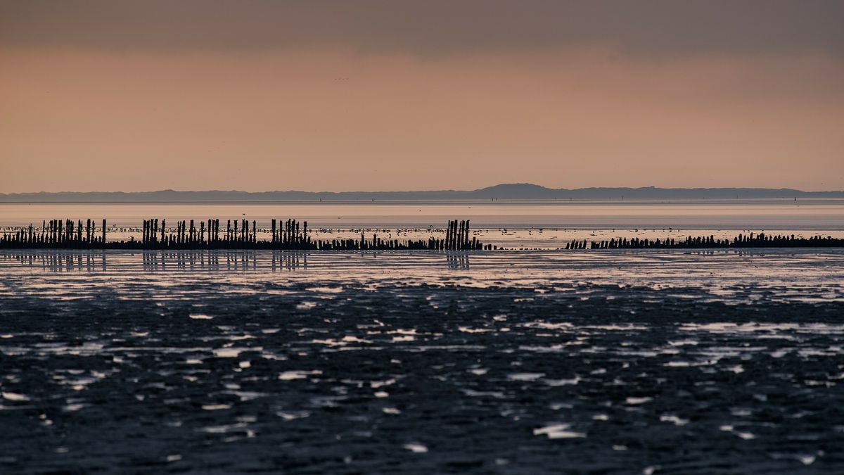 Energiespecialist over gasveld Ternaard: 