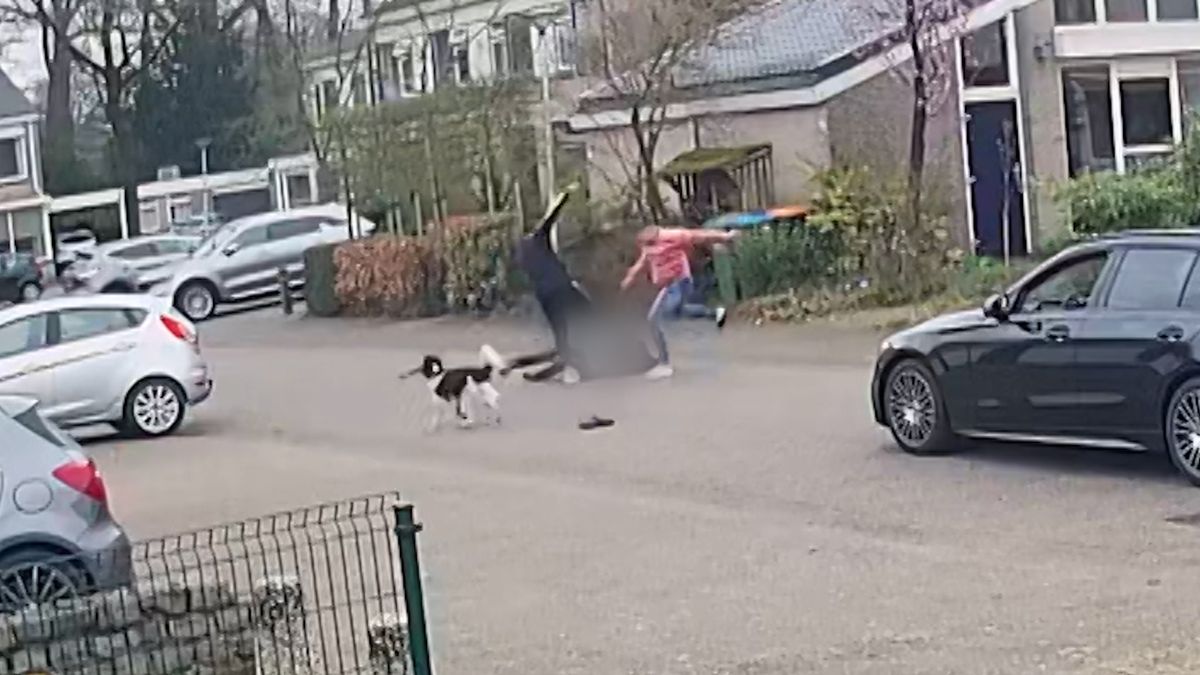Man zwaar mishandeld na discussie over loslopende hond in Enschede