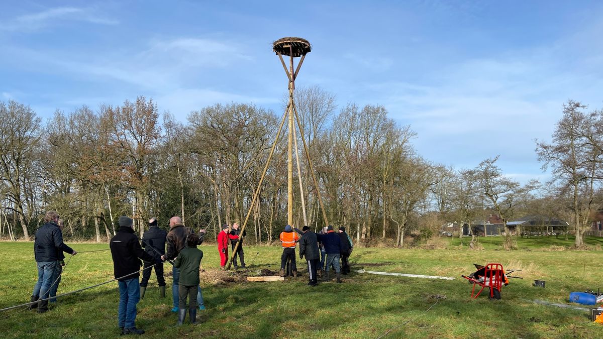 Nieuw ooievaarsnest Westerbroek meteen in gebruik