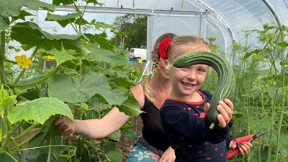 Oogsttuin in Nieuwehorne biedt gezinnen gratis groente