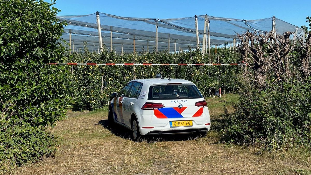 Onderzoek na vondst lichaam in Oirlo