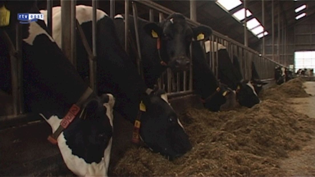 Boeren mogen ploegen tegen engerlingen