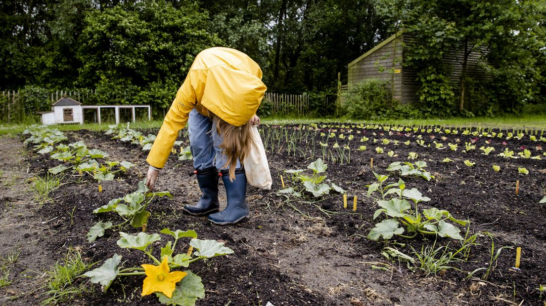 Foto ter illustratie
