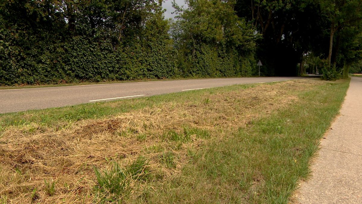 Waterschap: 'Eerst onderzoeken of ecologisch maaien effect heeft'