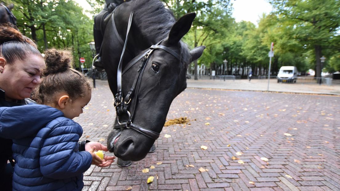 Paardenlunch op het Lange Voorhout