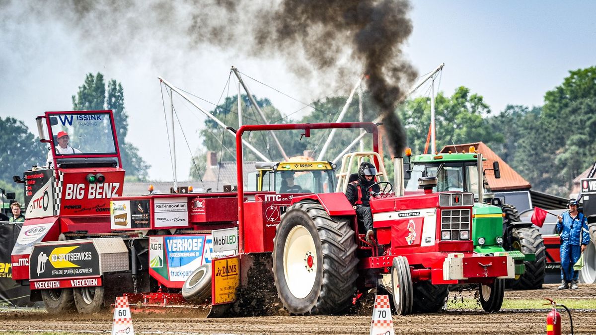 Dit is er dit weekend te doen in onze provincie