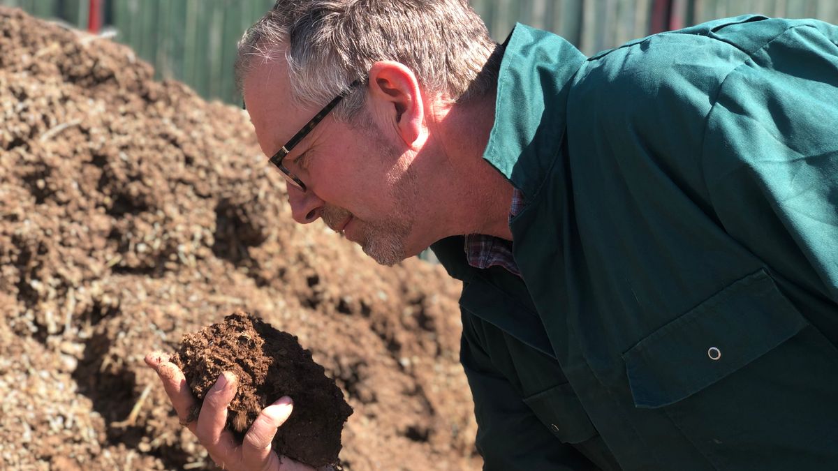 Boer Emiel uit Graauw ontwikkelt nieuwe landbouwmethode: 'Heel ingewikkeld, maar gezonder en voordel