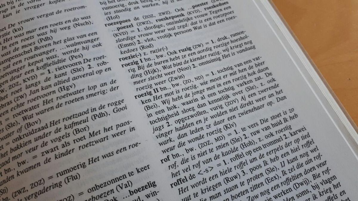 Waar komt het Drentse woord 'ruzig' vandaan? - RTV Drenthe