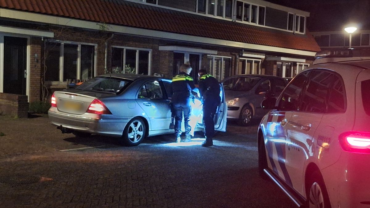 2 aanhoudingen voor stelen kentekenplaten, ook nepvuurwapen aangetroffen