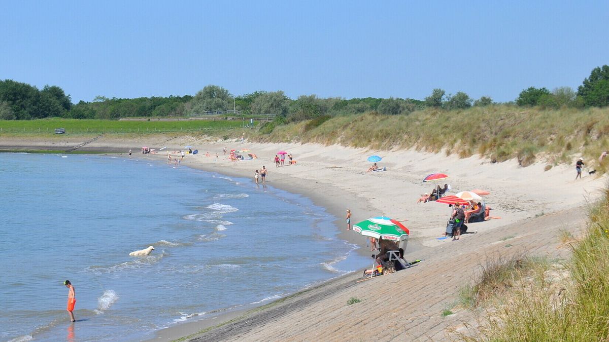 Zwemwater Ritthem weer poepbacterie-vrij