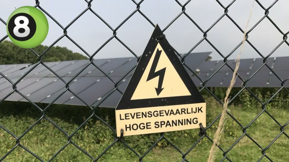 Seinen op groen voor zonnepark met schapen in Etten
