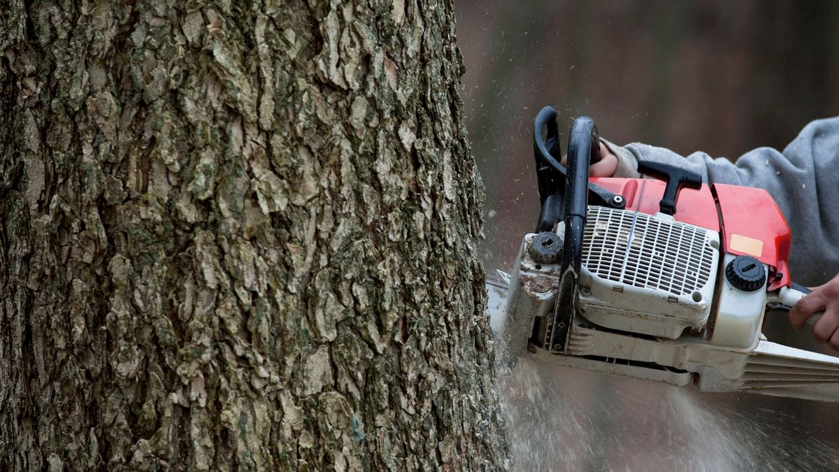 Bezwaar tegen dwangsom bomenkap Onderbanken