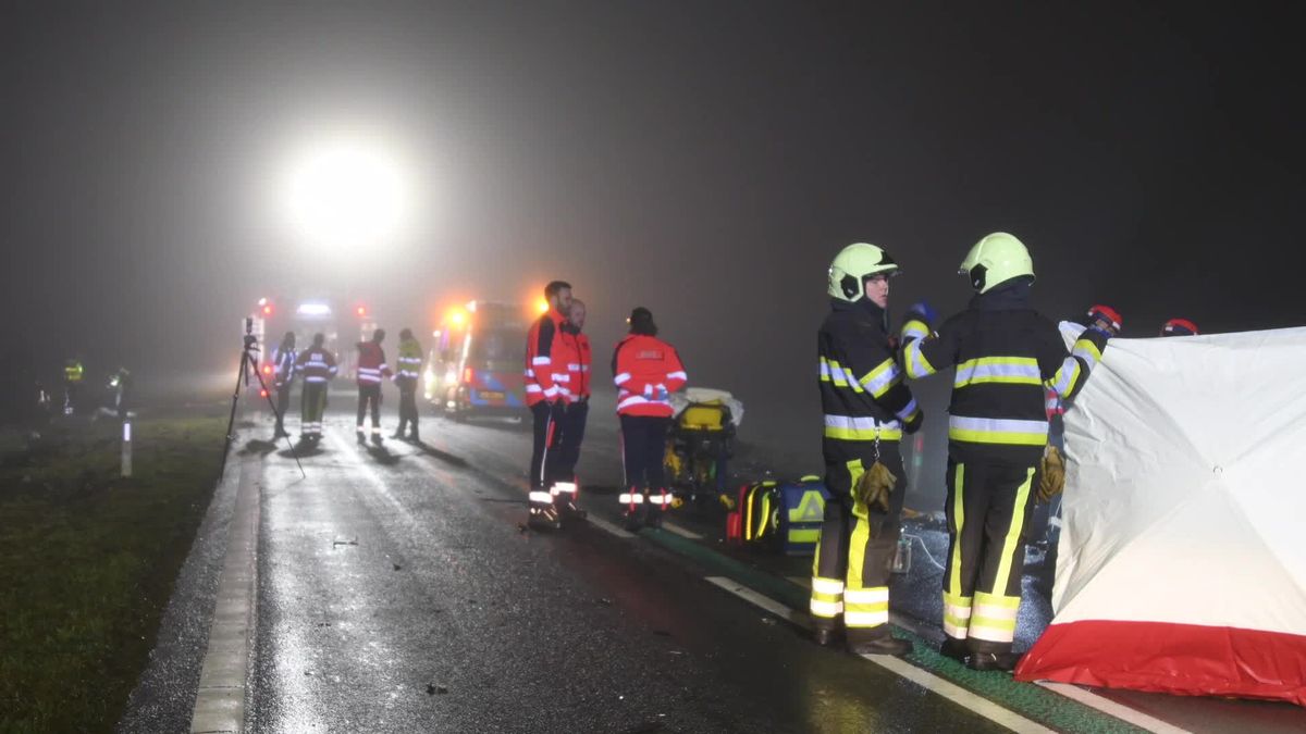 Automobilist overleden bij ongeluk in dichte mist bij Makkinga