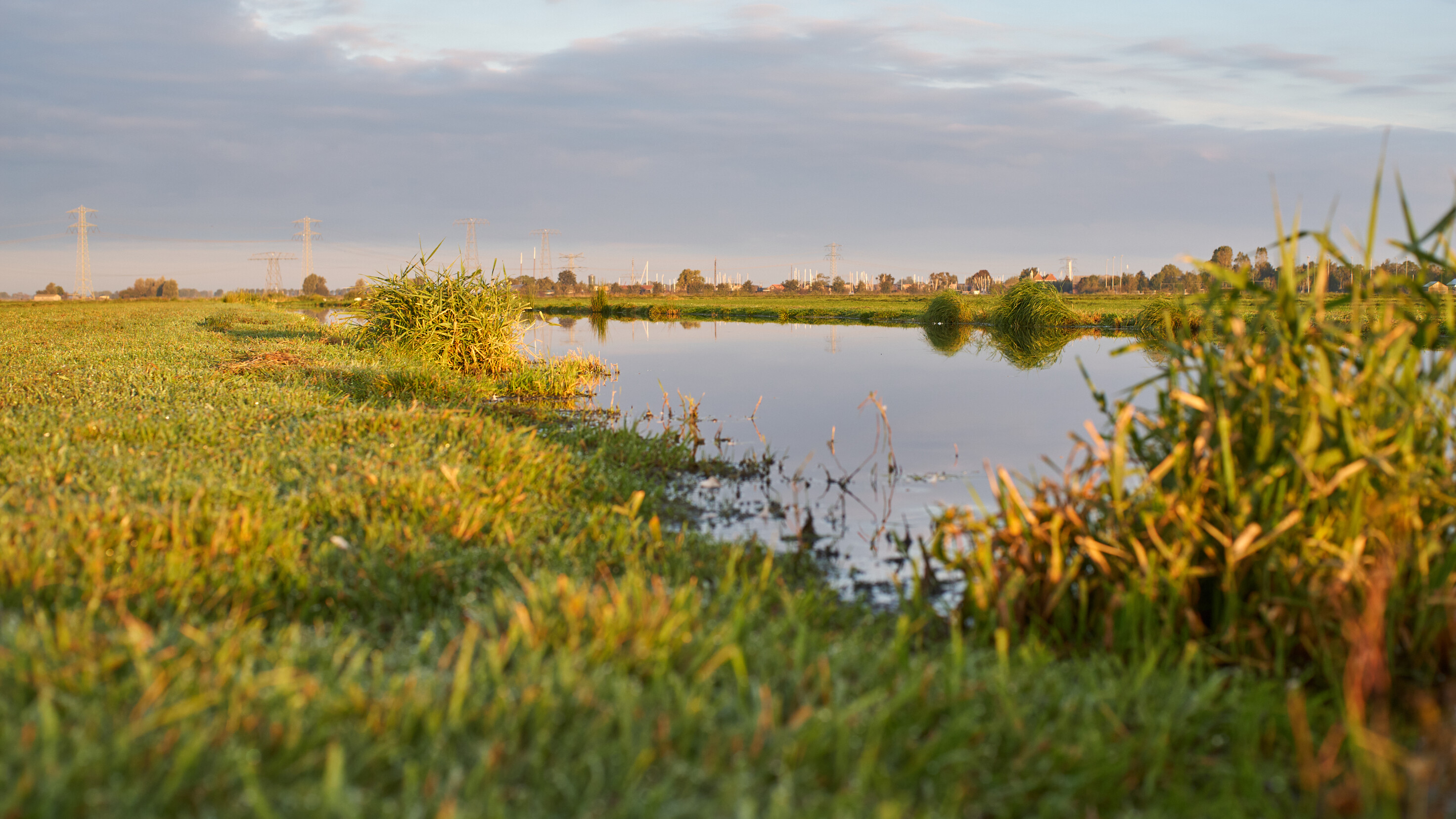 Provincie schorst 'gepolariseerde' adviescommissie voor het landelijk gebied
