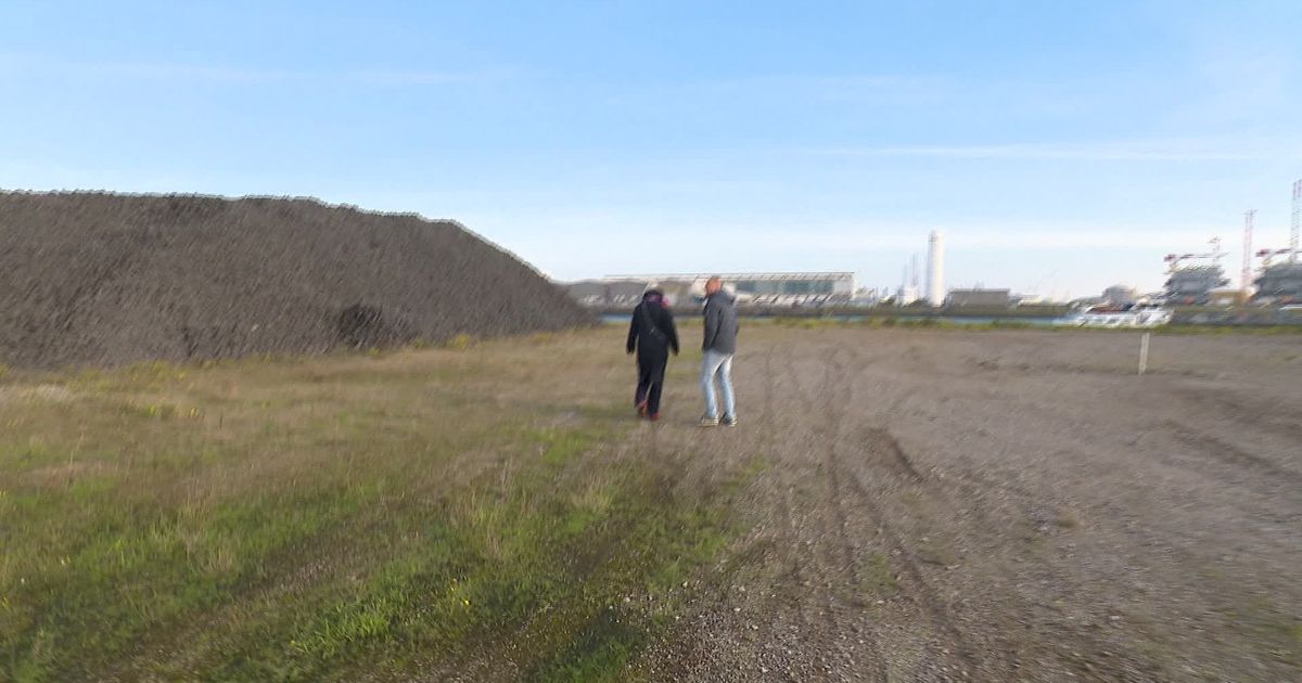 'Dit gif blijft gewoon uitlekken', Staalslakken liggen open en bloot in Vlissingen-Oost en Terneuzen