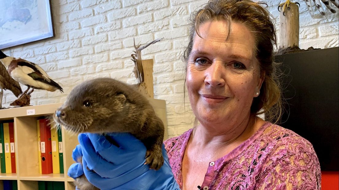 Alleen maar liefde voor de otter