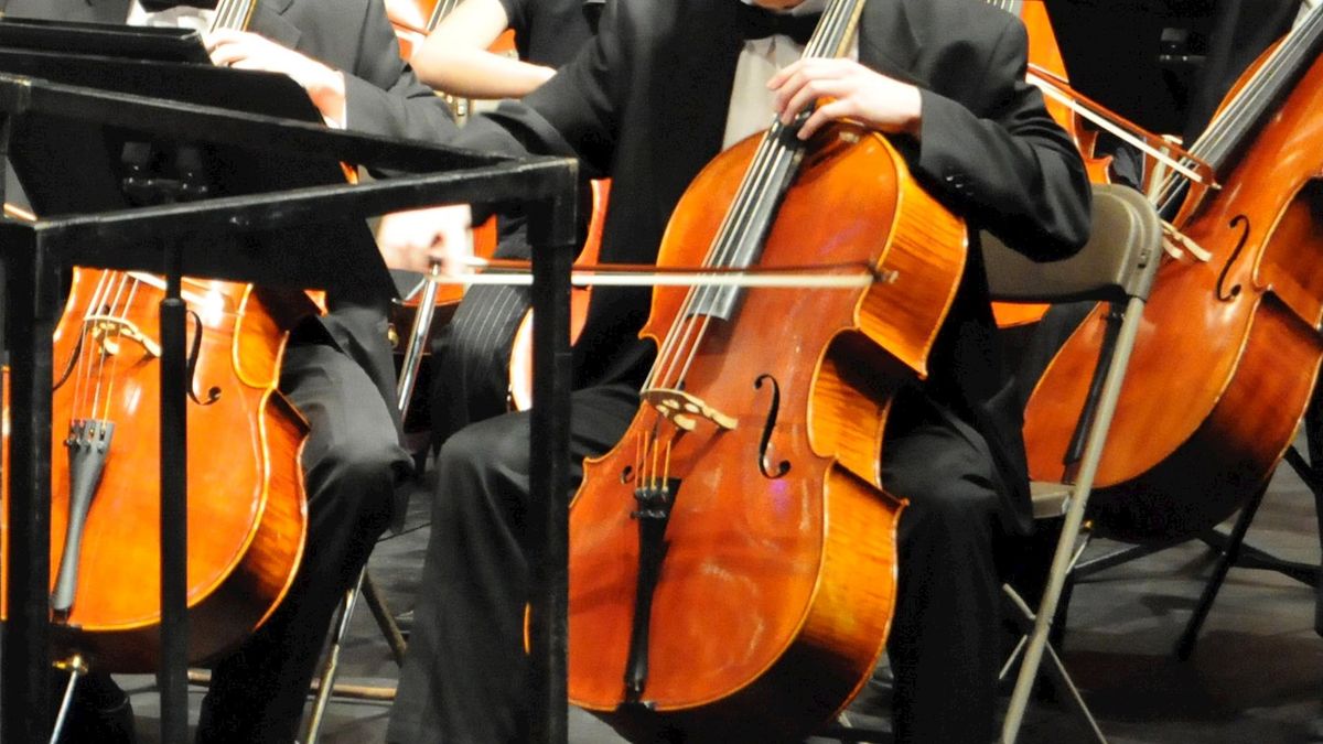 HET Symfonieorkest uit Enschede doet mee aan Europees muziekproject in Almelo