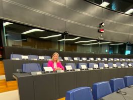 Emotionele Schreijer-Pierik na laatste stemming in Europees parlement: "Nu eerst biertje"