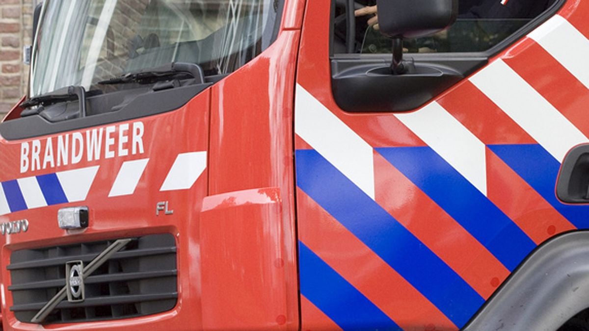Nadort: 'Het plan gaat in aangepaste vorm verder'