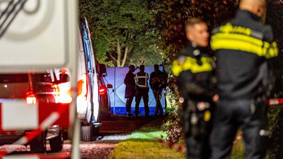 Politie schiet automobilist dood in Boelenslaan na inrijden op agenten