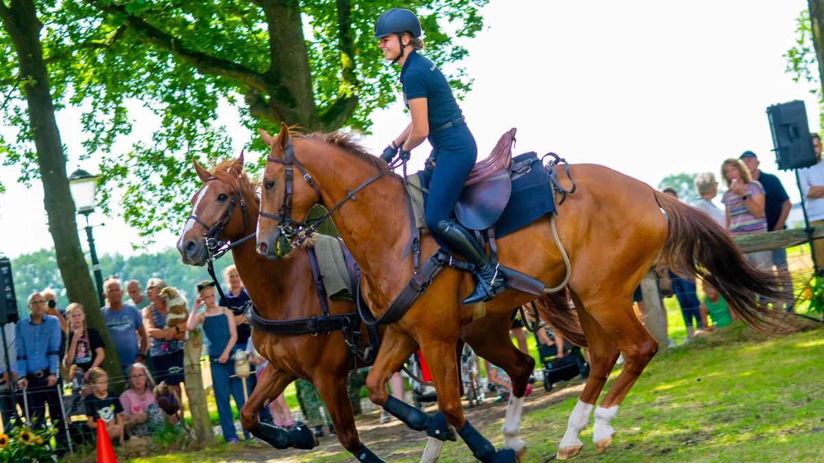 In beeld: dag van het paard in Orvelte