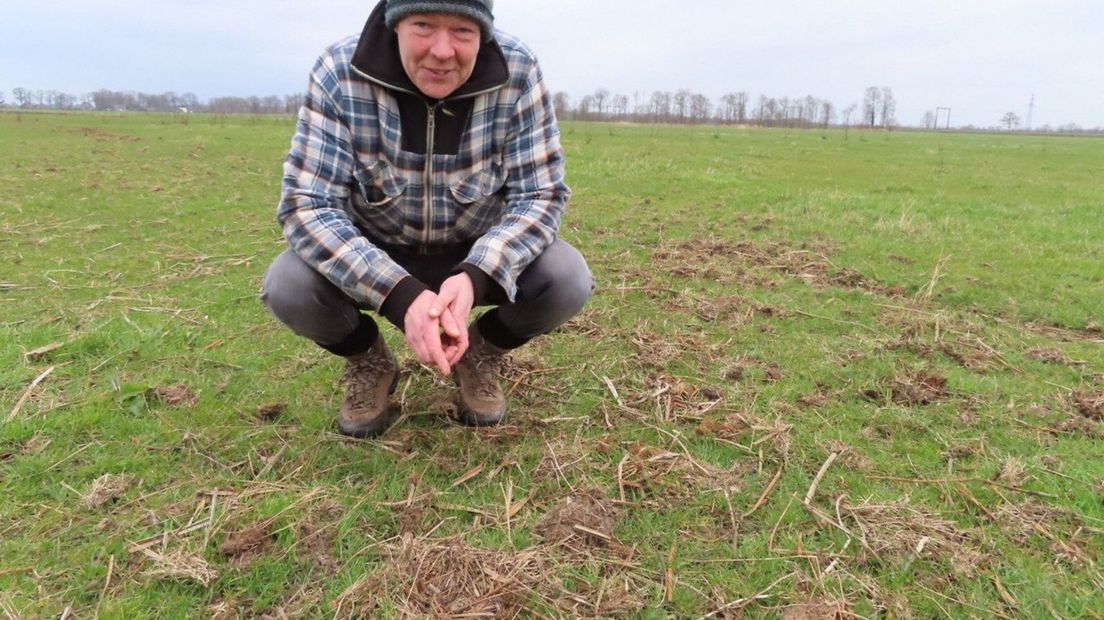 Vrijwillig weidevogelbeschermer Jelmer Bakker die het eerste kievitsei van Drenthe vond (Rechten: Landschapsbeheer Drenthe)