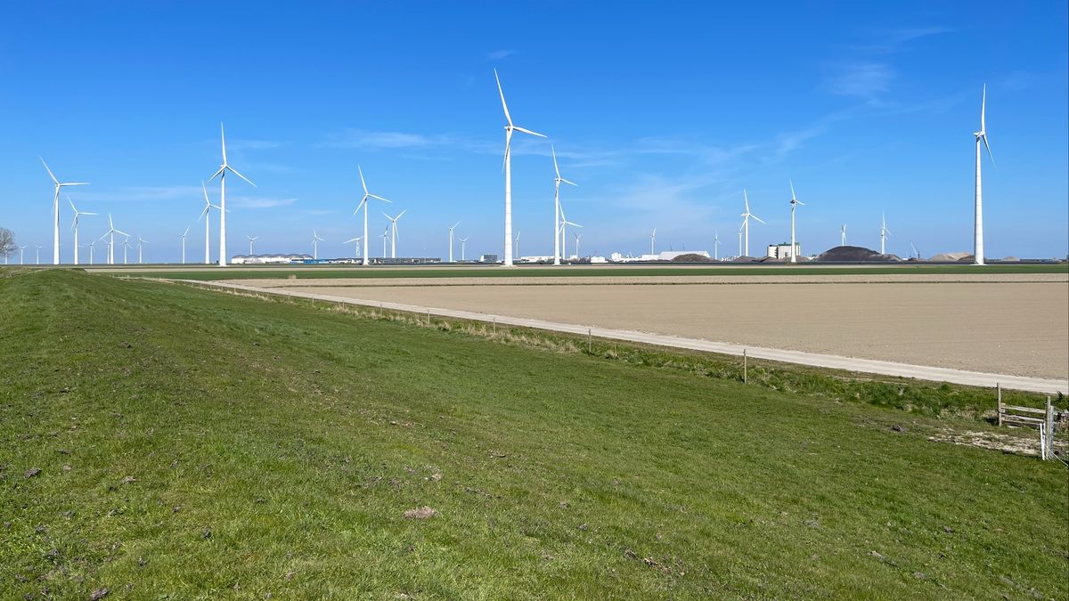 '11.000 banen op bedrijventerrein Oostpolder, ik geloof er geen snars van'