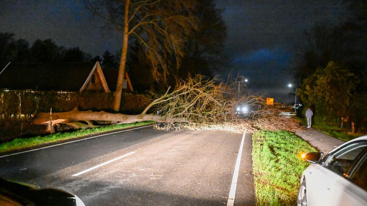 112 Nieuws: Harde wind velt boom in Westerhaar-Vriezenveensewijk | Bestelbus rijdt door na ongeval
