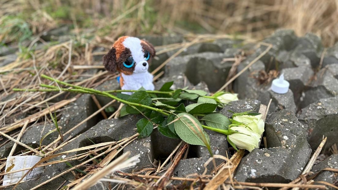 Bij de vindplaats van het lichaam ligt een knuffel en een bloemetje