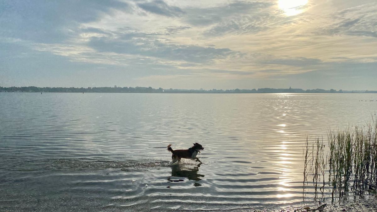 Geniet van de laatste warme dag, vanavond al regen? - Rijnmond