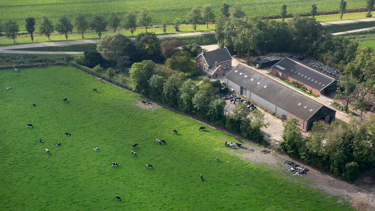 Provincie subsidieert stoppende veehouder: pot van 6,8 miljoen beschikbaar