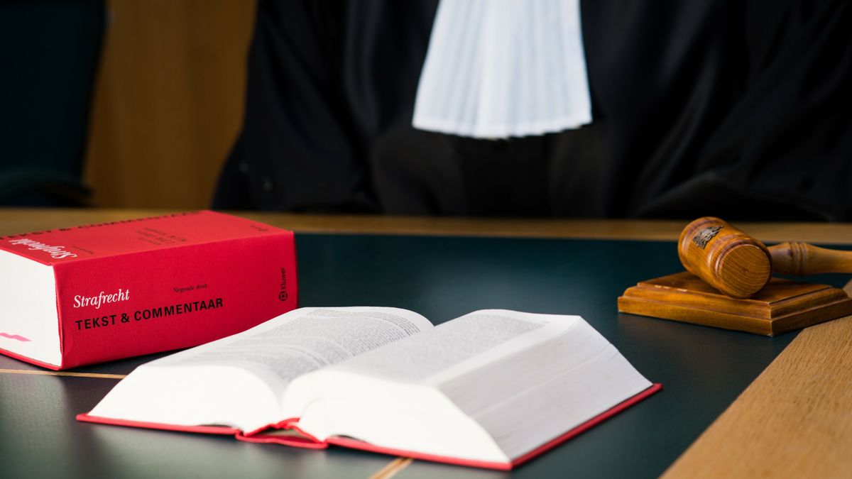 Vier jaar cel geëist voor 'brute en laffe' verkrachting in Nieuw-Weerdinge