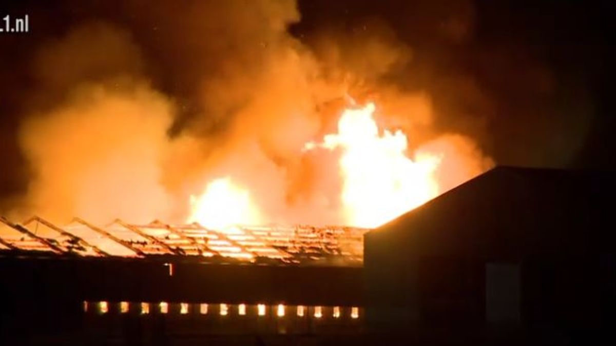 Radionieuws 12:00: Brand in kippenstal Ysselsteyn