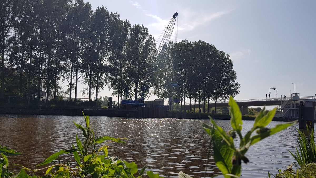 Bewoners Rotterdam Overschie zijn overlast spuugzat