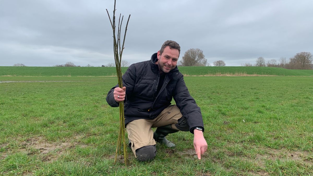 Weer ligt het eerste kievitsei in Grafhorst, maar Herman vindt het nest te laat