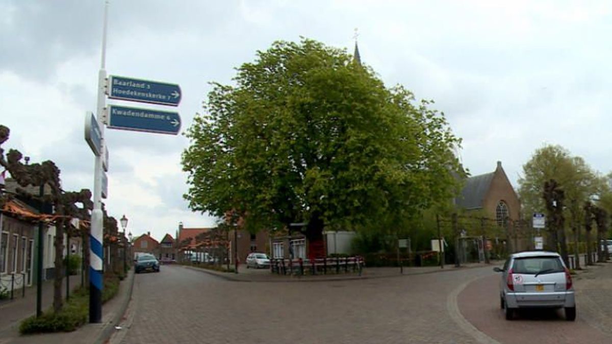 Kastanjeboom in Oudelande als Boom van het Jaar?