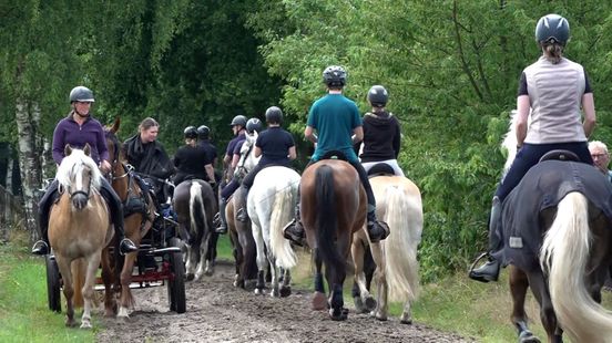 Foto: Geen wandelaars, maar ruiters en menners: ook die andere Vierdaagse is weer van start